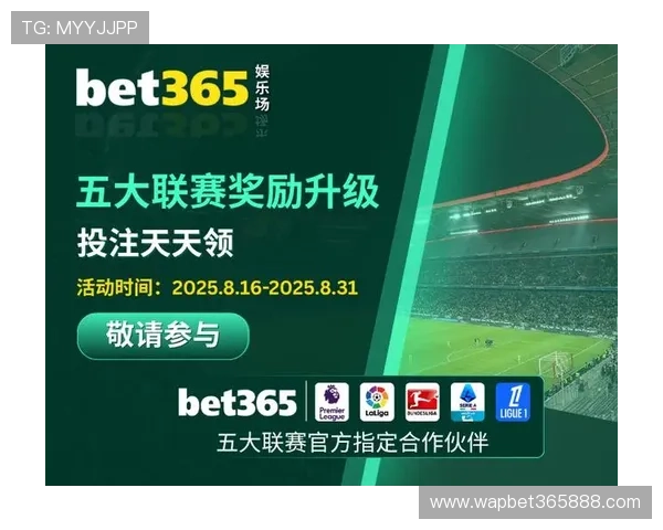 bet365中文网址导航大全，帮助用户轻松找到官方登录页面