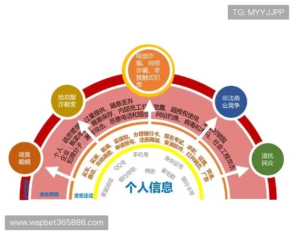 如何识别优质的365备用网址线路，避免网络安全风险的实用技巧分享
