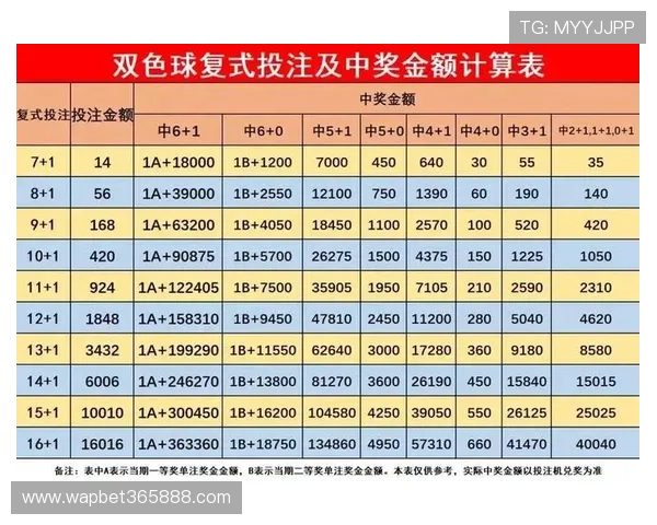 bet10十博投注指南详细解读新手必看的投注技巧和风险控制策略