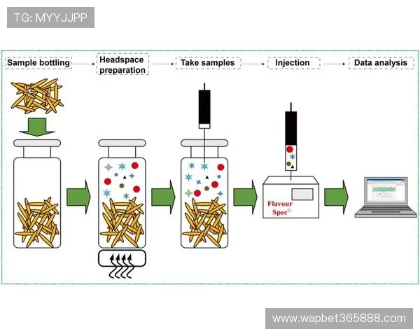 快速掌握yin bet线上开户的操作流程提升使用体验和效率