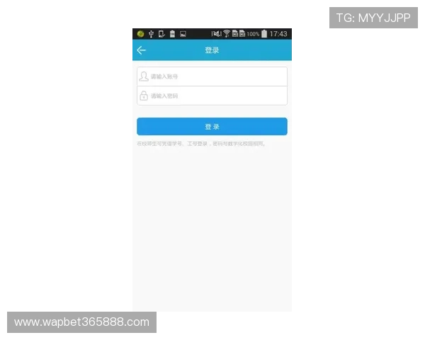 B体育app登录遇到问题怎么办？全面排查与解决方案助你顺利登录体验