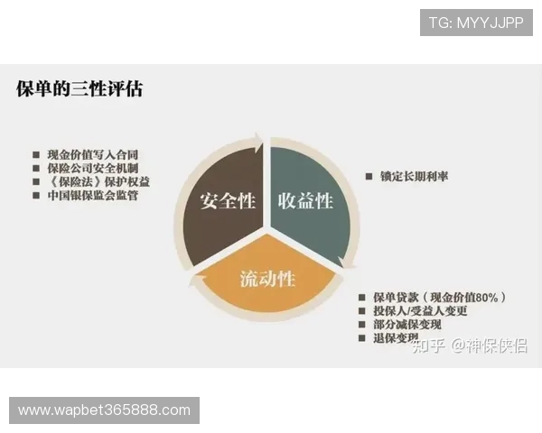 v体育平台官网的账号管理与安全设置指南,保障你的账户安全与个人隐私 v体育平台官网的账号管理与安全设置指南,保障你的账户安全与个人隐私
