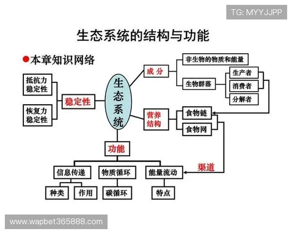 利来体育在线引入先进技术保障平台运行的稳定性和安全性